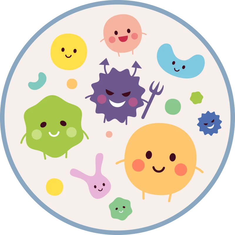 bacteria image