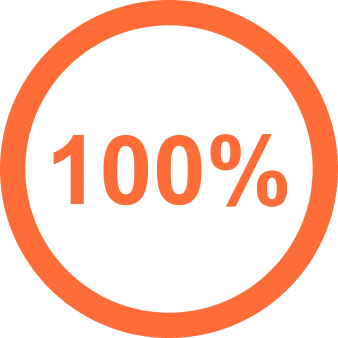 orang 100% icon