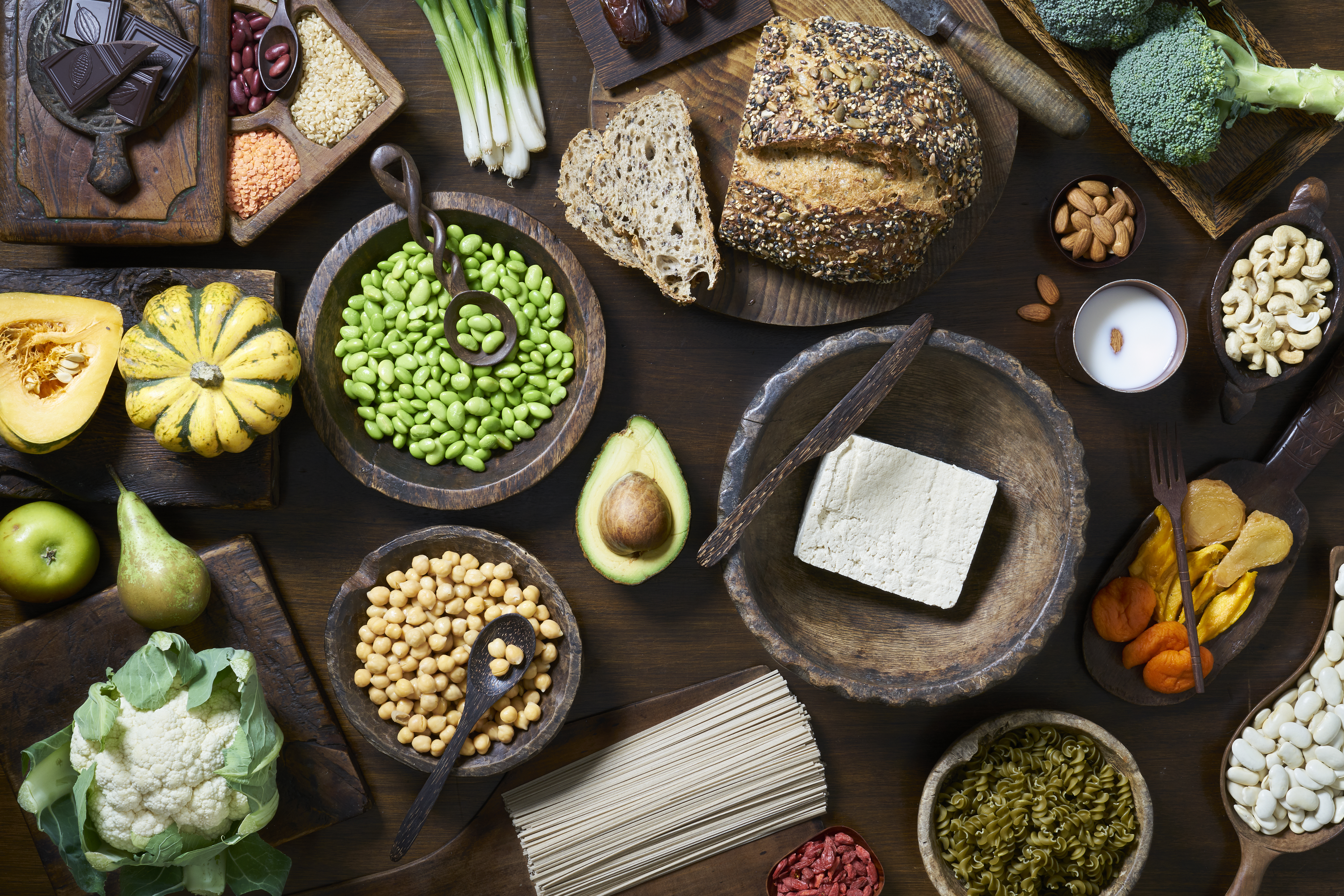 animal protein