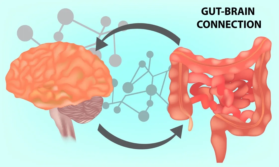 IRRITABLE BOWEL SYNDROME 3